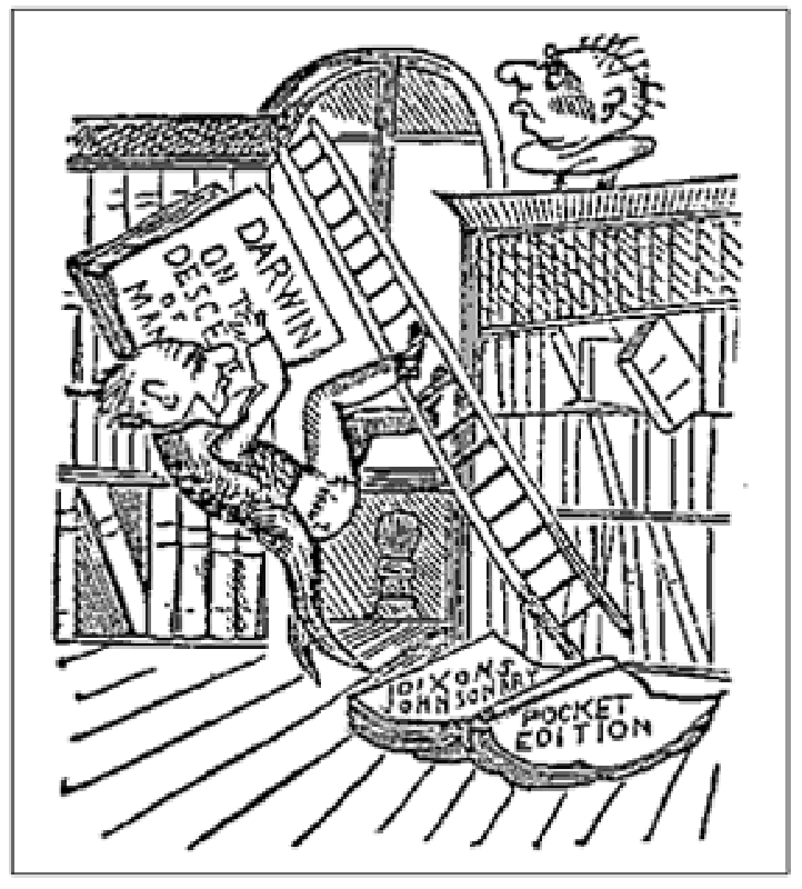 Illustration from Ye Comick Guide and Historie of Saffron Walden 1881