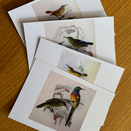 an image of 4 postcards with bird illustrations