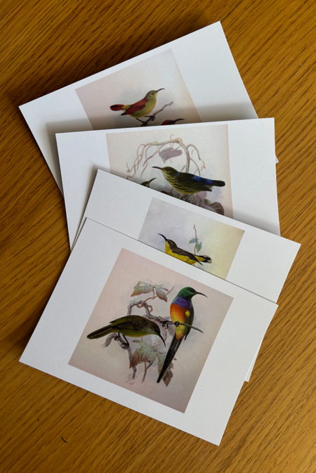 an image of 4 postcards with bird illustrations